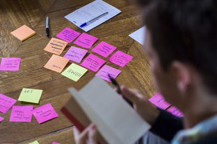 乐鱼全站-体育公益项目社会影响力研究，关于体育的公益项目