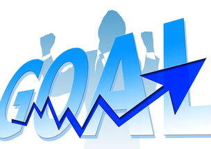 乐鱼入口-体育品牌市场影响力年度评估，体育品牌市场份额